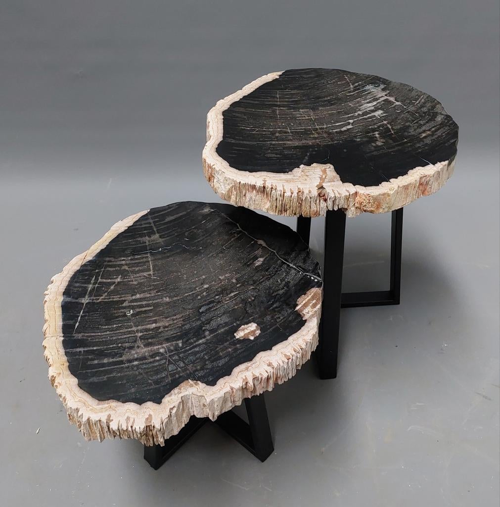 Salontafel in Fossiel, Salontafelset in Versteend Hout., Verzamelen, Ophalen, Fossiel