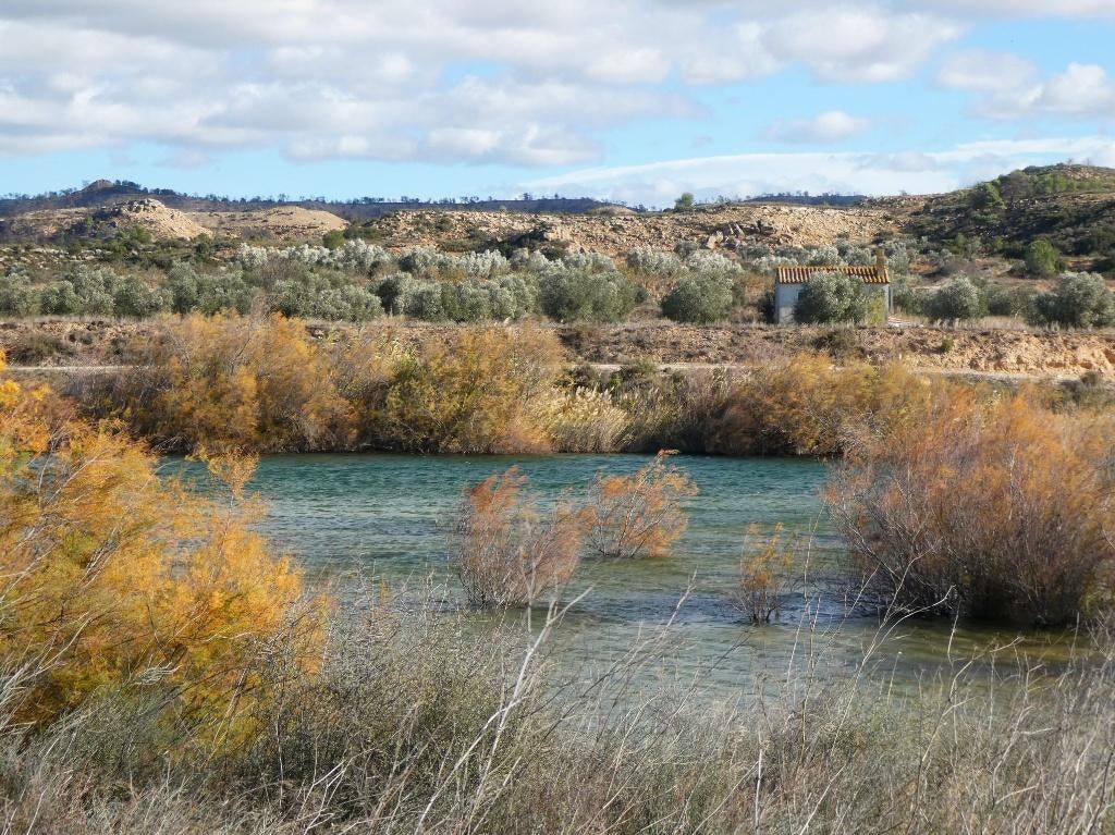 Finca in Fabara (Aragón, Spanje) - 1080, Immo, 32 m², Overige soorten, Spanje, Landelijk
