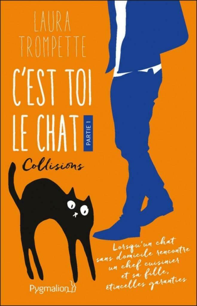 C'est toi le chat Partie 1 Collisions Laura Trompette, Boeken, Romans, Zo goed als nieuw, Europa overig, Ophalen of Verzenden