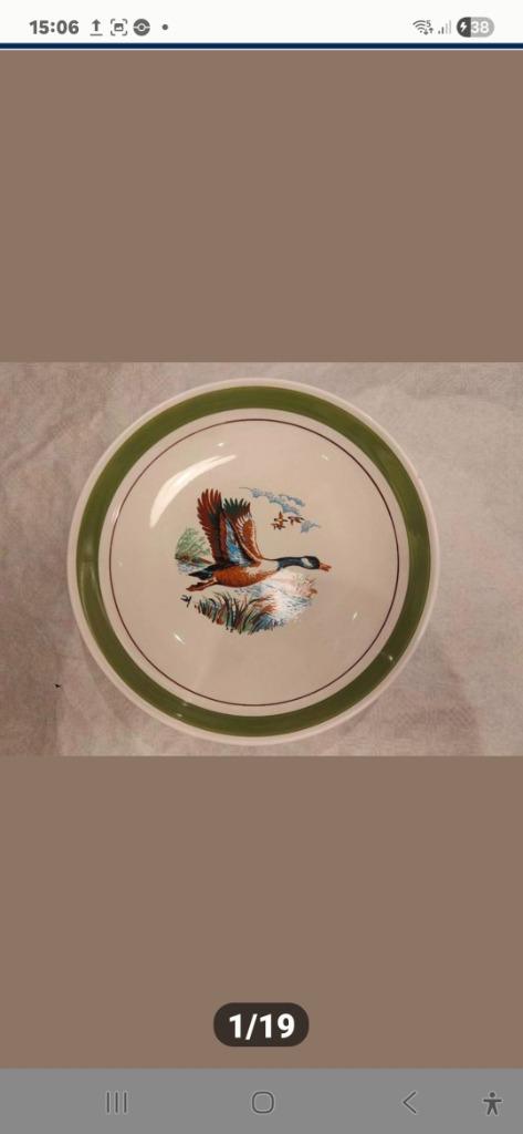 Grandes assiettes ovales, chinoises et japonaises, Antiquités & Art, Antiquités | Porcelaine, Enlèvement ou Envoi