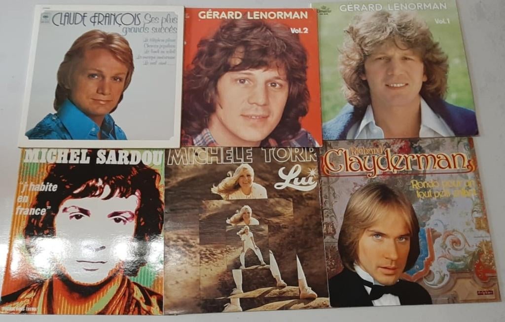 Lot de 6 disques 33 tours, Enlèvement, Utilisé