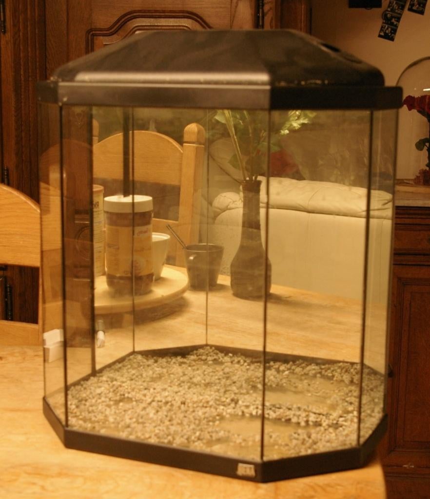 terrarium, Enlèvement, Utilisé, Terrarium ou Paludarium