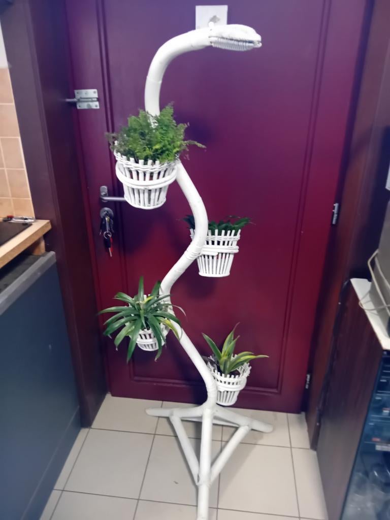 Rotan plantenstandaard, Ophalen, Gebruikt, Binnen