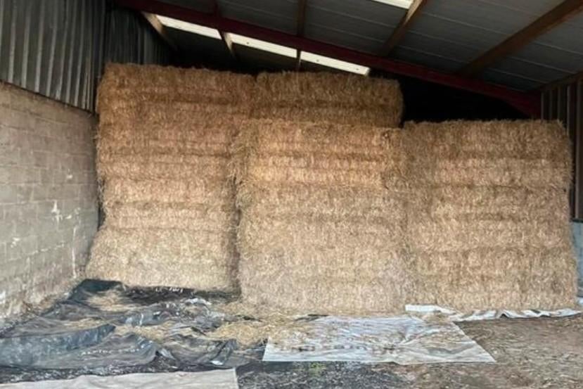 Cherche pailles de froment 50 à 100 Tonnes, Enlèvement ou Envoi