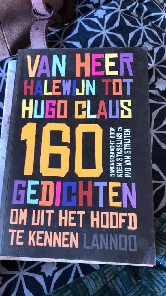 Koen Stassijns - Van heer Halewijn tot Hugo Claus, Boeken, Ophalen, Zo goed als nieuw, Koen Stassijns