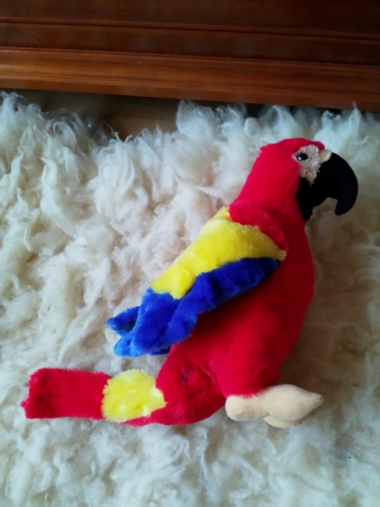 câlin perroquet, Enlèvement ou Envoi, Comme neuf
