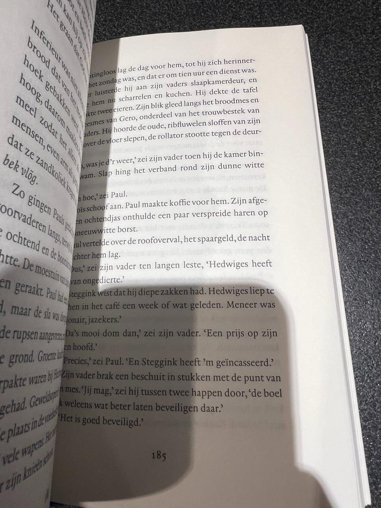 De heilige Rita - Tommy Wieringa, Boeken, België, Tommy Wieringa, Ophalen of Verzenden, Zo goed als nieuw