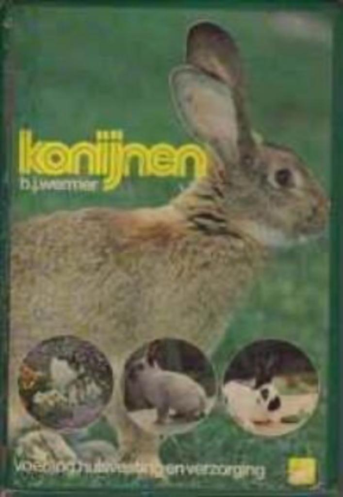 Konijnen, B.J.Wermer, Enlèvement, Lapins ou Rongeurs