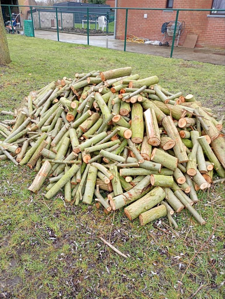 Brandhout van wilgenhout 2,5m3, Enlèvement, Bûches