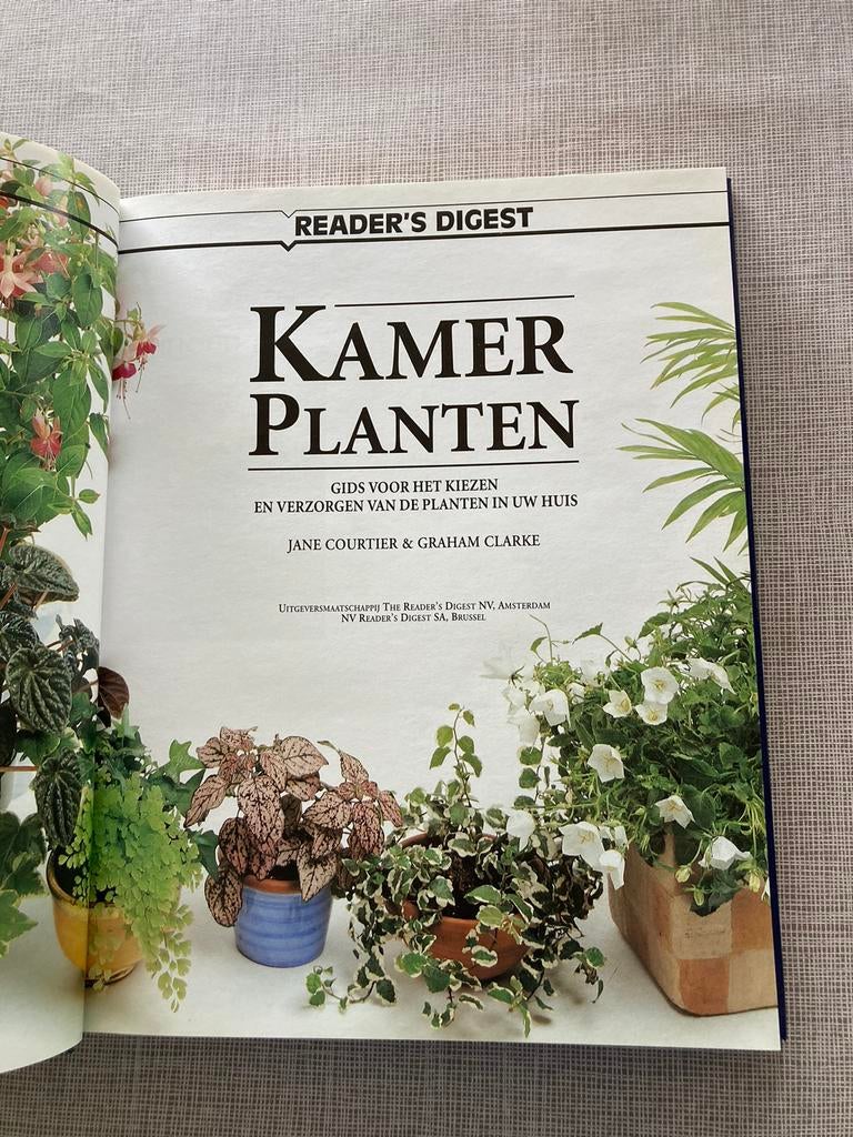 J. Courtier - Kamerplanten, Enlèvement ou Envoi, Neuf, J. Courtier; G. Clarke