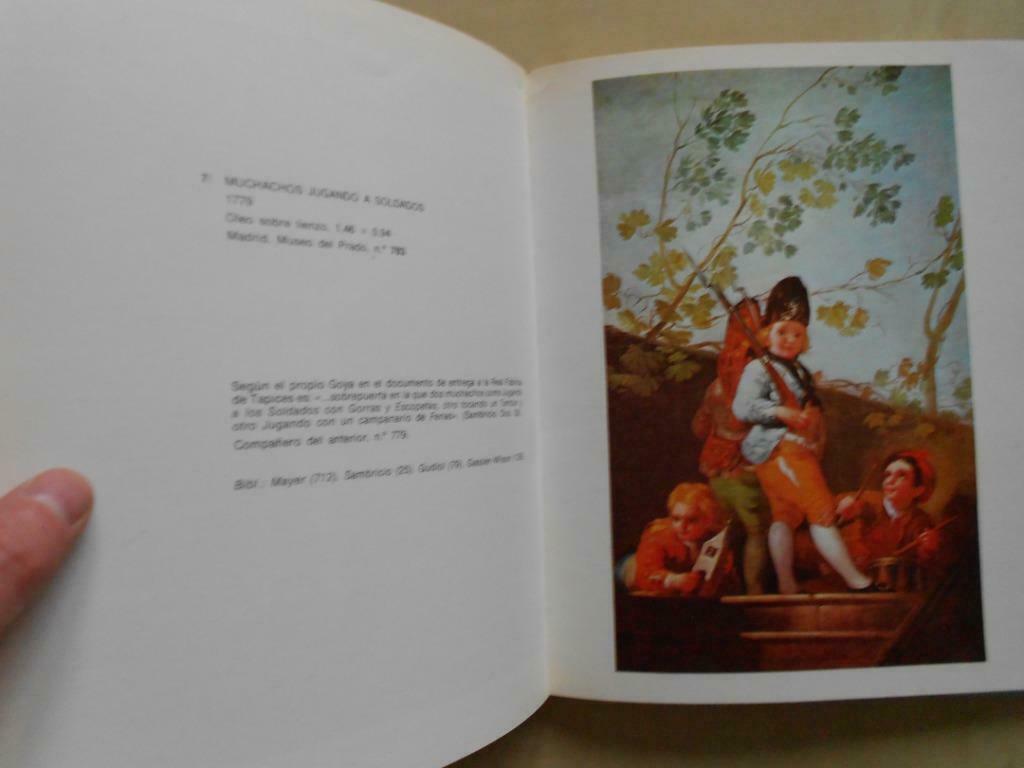 Antonio Lago Carballo (préface), "Goya", Livres, Art & Culture | Arts plastiques, Utilisé, Enlèvement ou Envoi