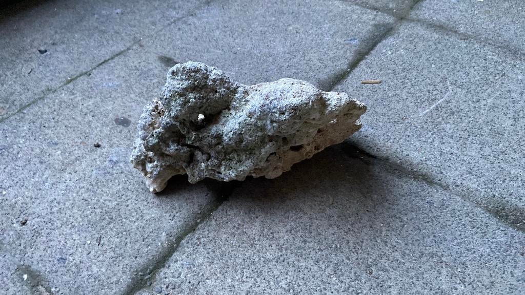 Aquarium steen 7,50€, Dieren en Toebehoren, Ophalen, Gebruikt, Plant(en), Steen of Hout
