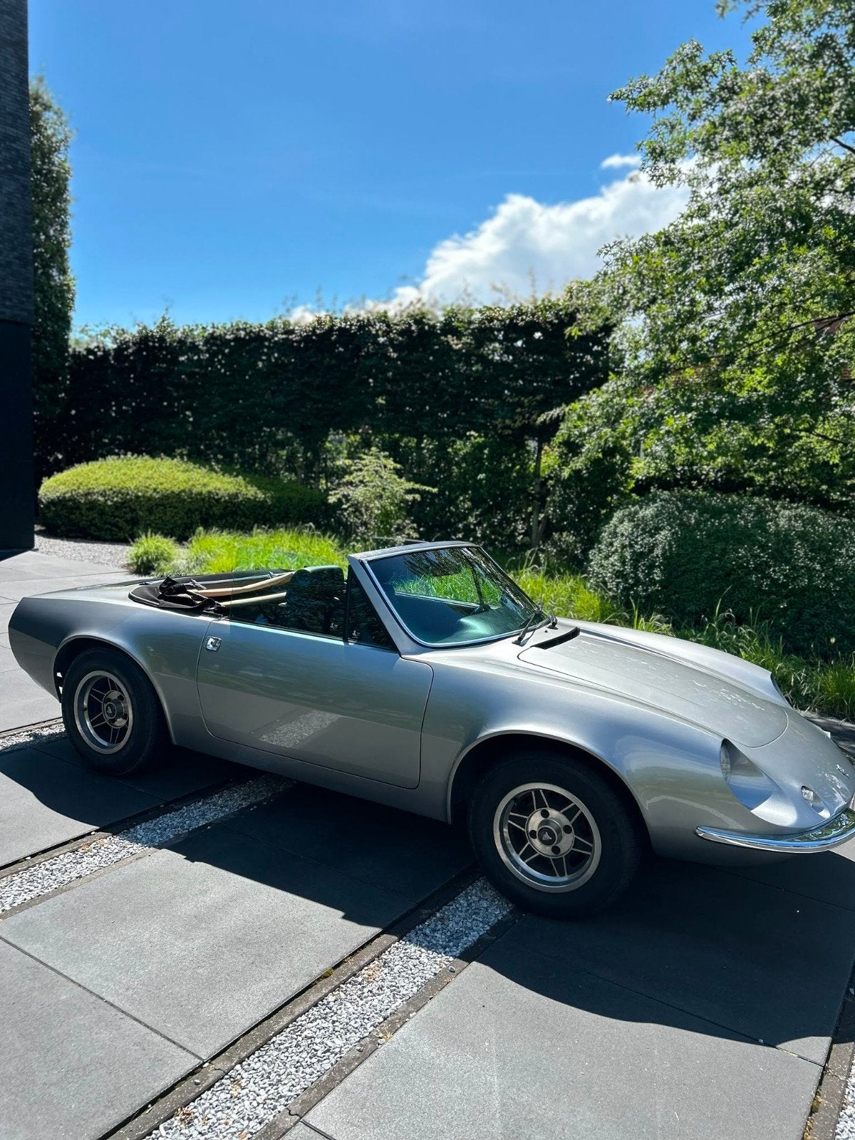 Puma cabrio, foto 11