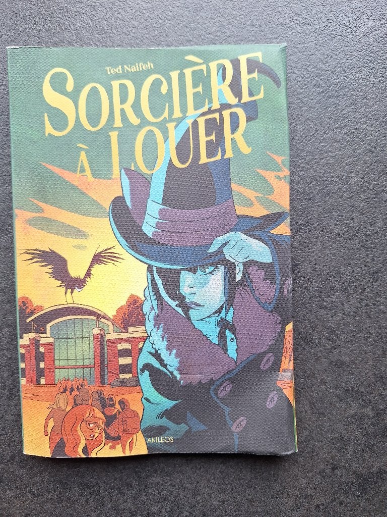 Sorcière à louer - Ted Naifeh, Livres, BD, Une BD, Enlèvement, Utilisé, Ted Naifeh