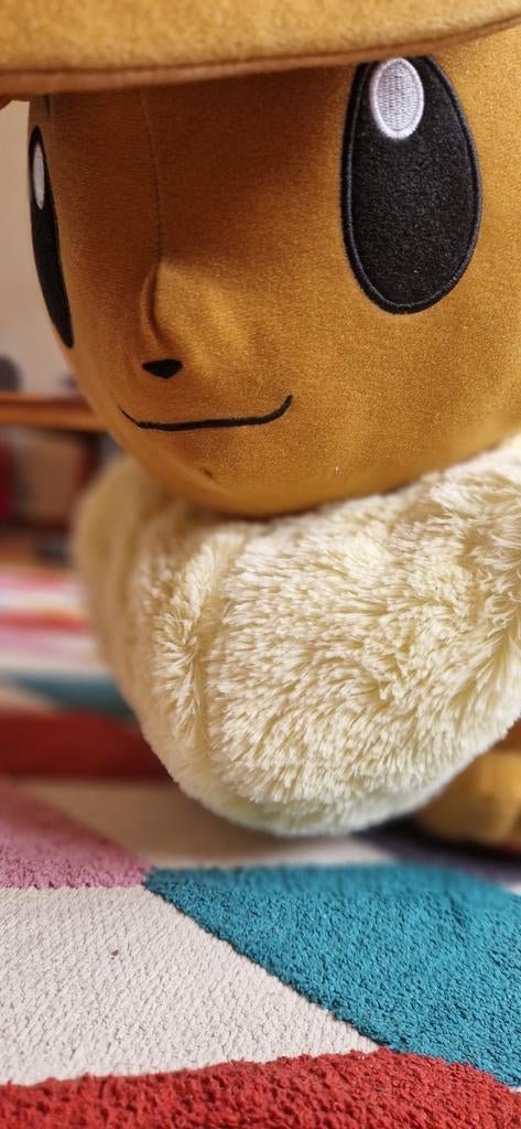 Peluche grande Pokemon, Enlèvement