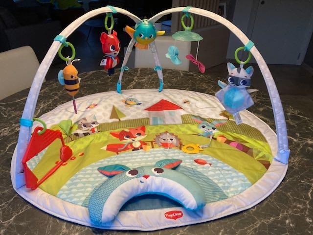 Tiny love speelmat voor baby. Tiny Love. Zeer goede staat, Kinderen en Baby's, Ophalen, Zo goed als nieuw