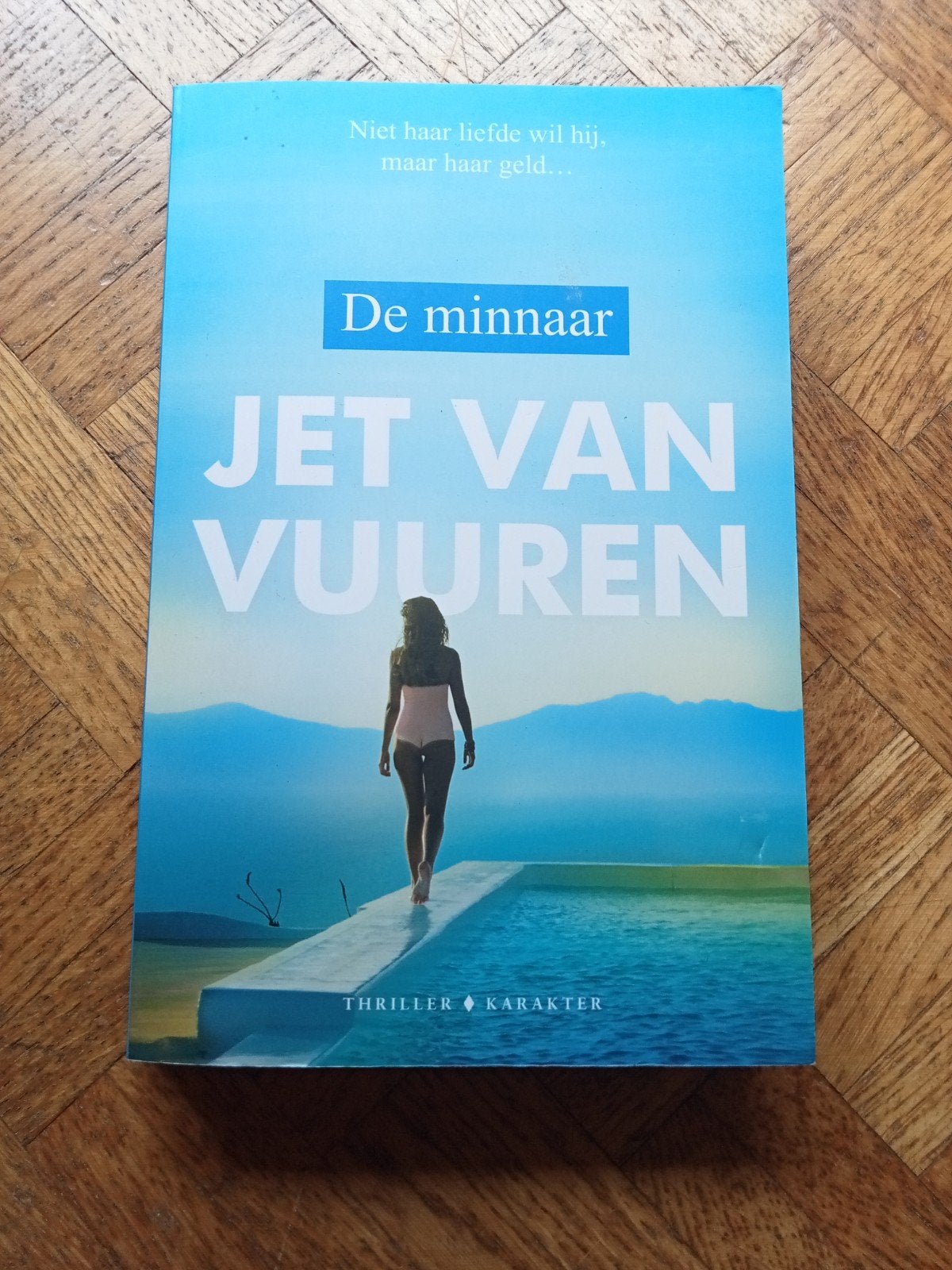 Jet van Vuuren: De minnaar, Boeken, Ophalen of Verzenden, Gelezen