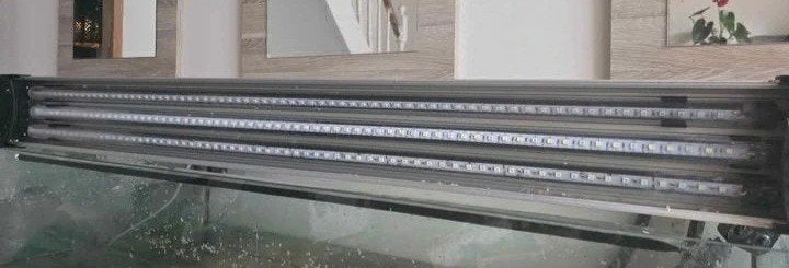 aqarium en toebehoren, Dieren en Toebehoren