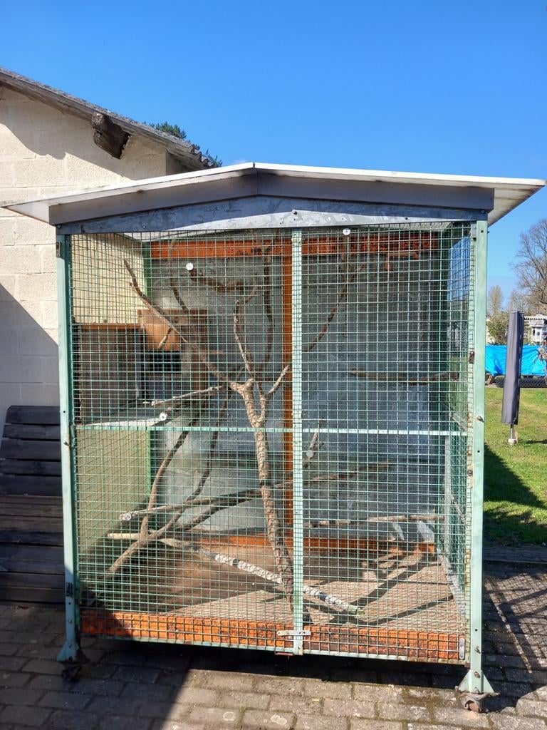 Te koop voliere, Ophalen