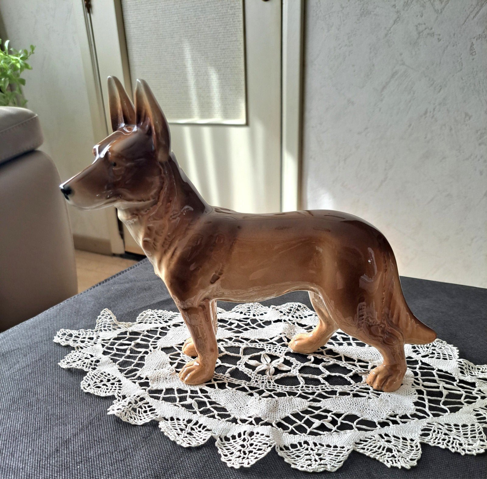 hond ,scheper ,in goede staat  ophalen ekeren ., Ophalen