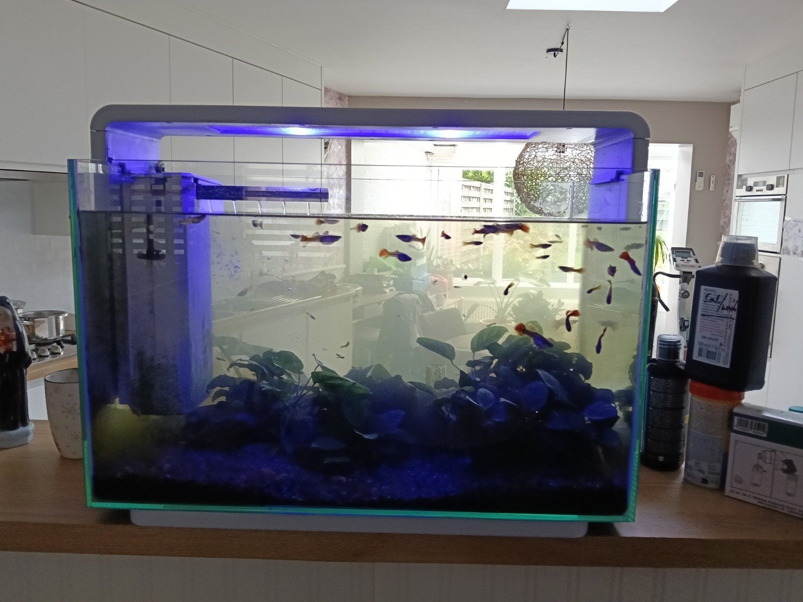 aquarium 65 liter alles inbegrepen, Télécommande incluse, Enlèvement, Utilisé, Autres marques