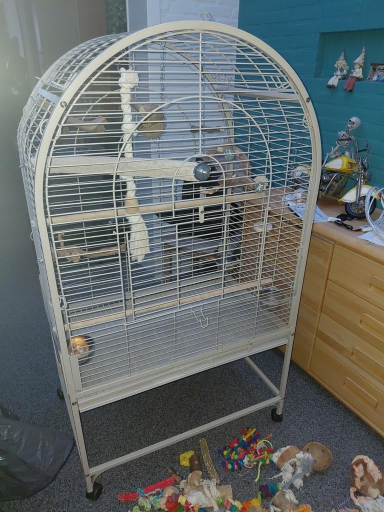Belle cage à oiseaux, Animaux & Accessoires, Oiseaux | Cages & Volières, Enlèvement, Cage à oiseaux