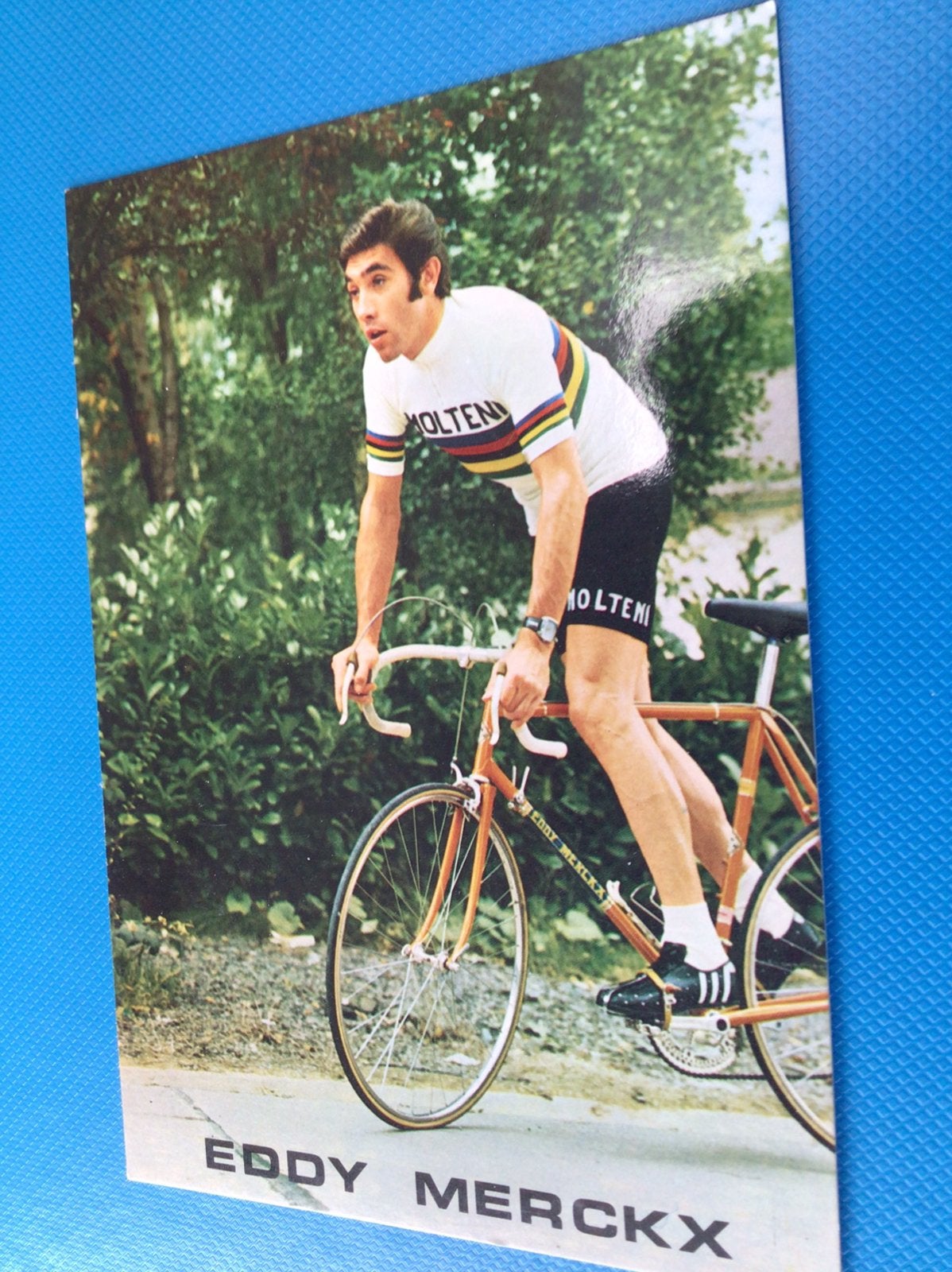 Wielerkaart wk team molteni eddy merckx, Enlèvement ou Envoi