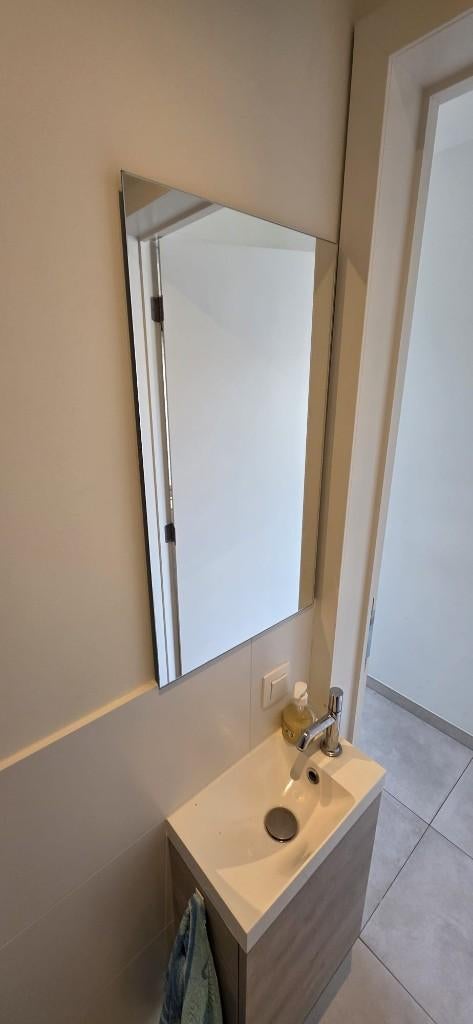 Spiegel voor boven toilet-handenwasser, Doe-het-zelf en Bouw, Ophalen, Toilet