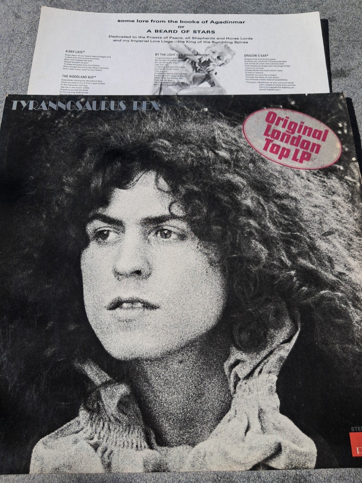 Lp Tyrannosaurus Rex, Cd's en Dvd's, LP, Gebruikt, Fotohoes, Ophalen of Verzenden
