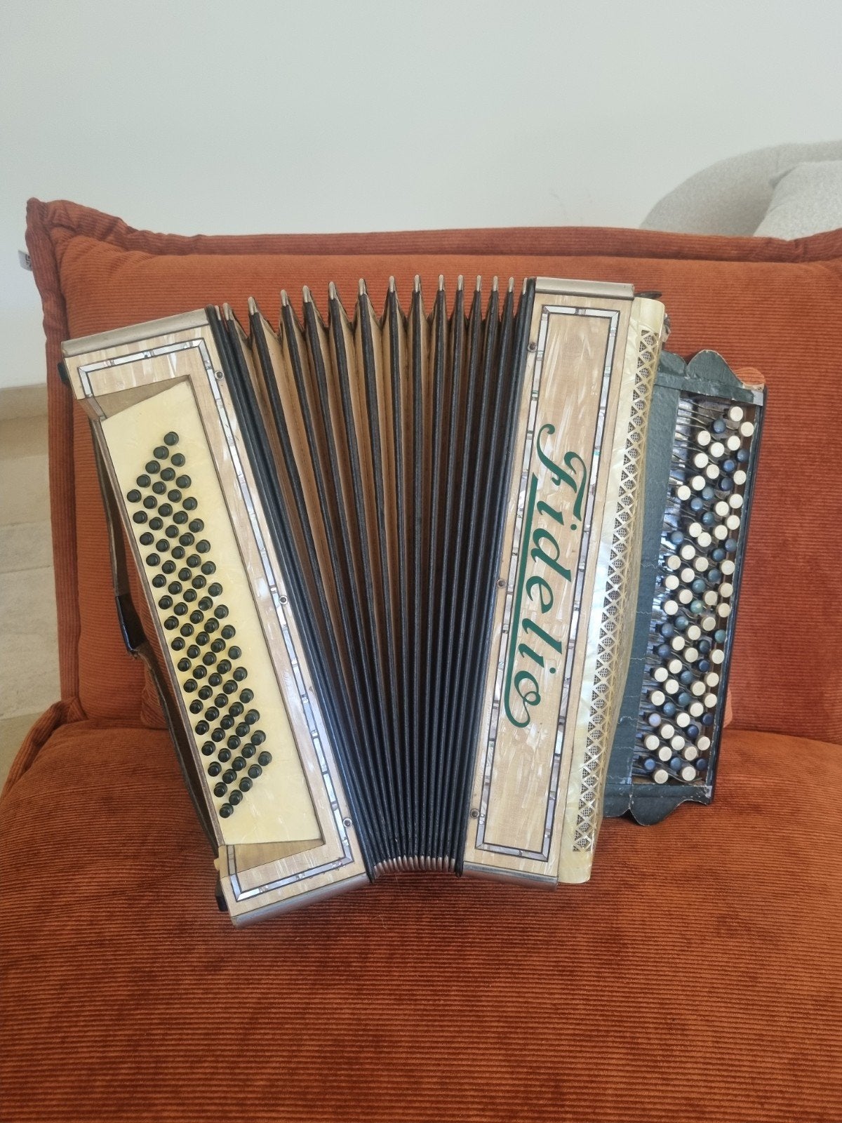 prachtige accordeon Fidelio (Hohner), Ophalen, Gebruikt, Met riemen, Knopaccordeon