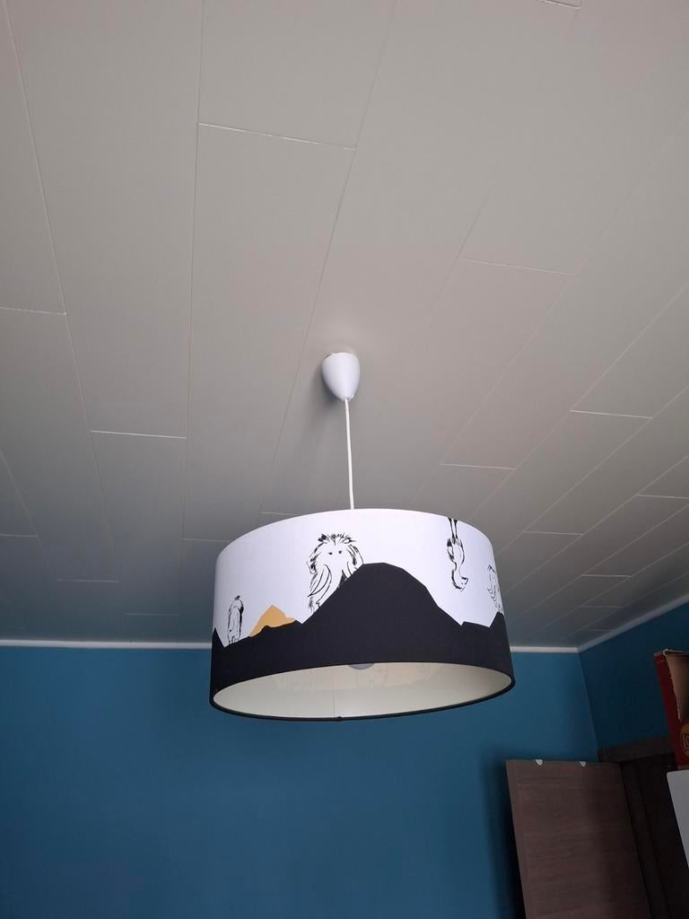 Hanglamp kinderkamer, Ophalen, Gebruikt
