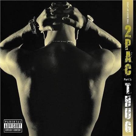 2pac, CD & DVD, CD | Hip-hop & Rap, Enlèvement ou Envoi, Utilisé