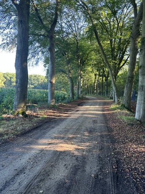 bouwgrond voor recreatie, Immo, Meerhout, Verkoop zonder makelaar, 1500 m² of meer