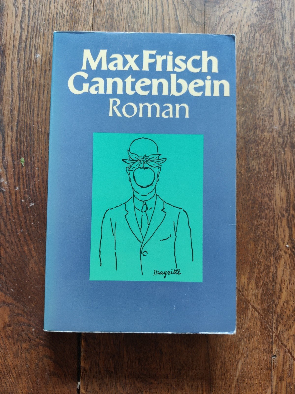 Gantenbein - Max Frisch, Boeken, Ophalen of Verzenden