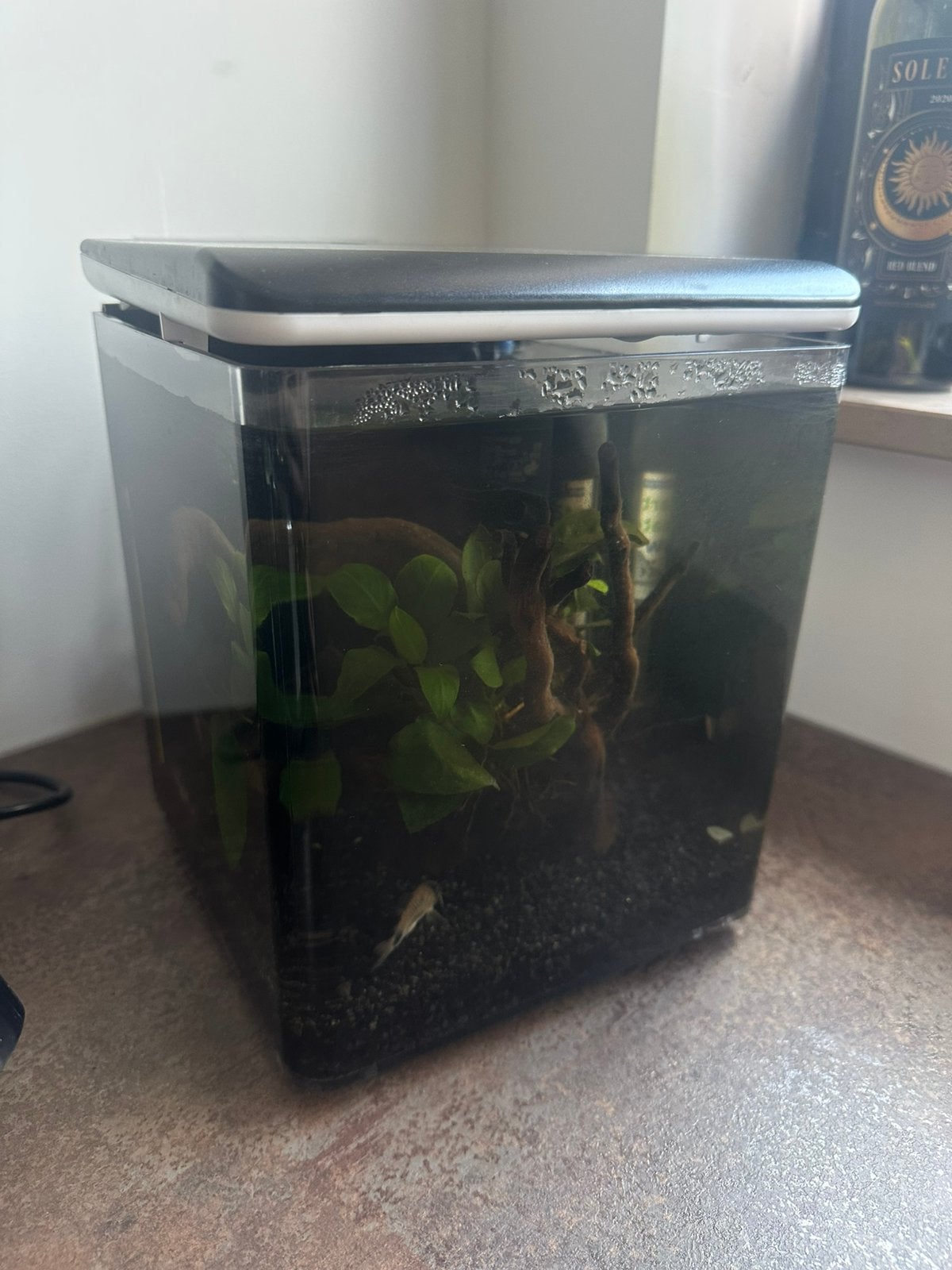 Aquarium, Animaux & Accessoires, Enlèvement, Pompe, Comme neuf