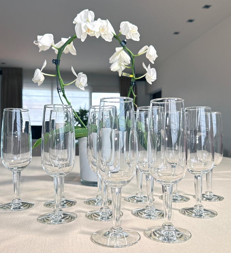 Champagneglazen / Champagne fluiten / Prosecco glazen / 12x, Verzamelen, Ophalen of Verzenden, Zo goed als nieuw, Overige typen
