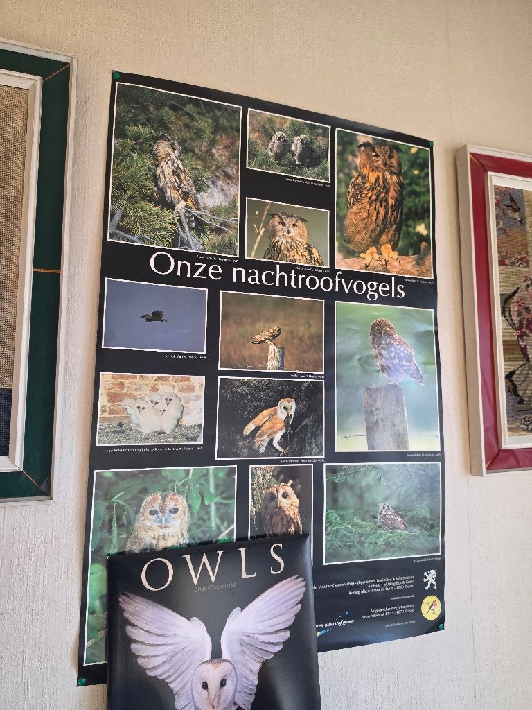 affiche et calendrier hiboux, Enlèvement, Comme neuf, Rectangulaire vertical, Animal et Nature