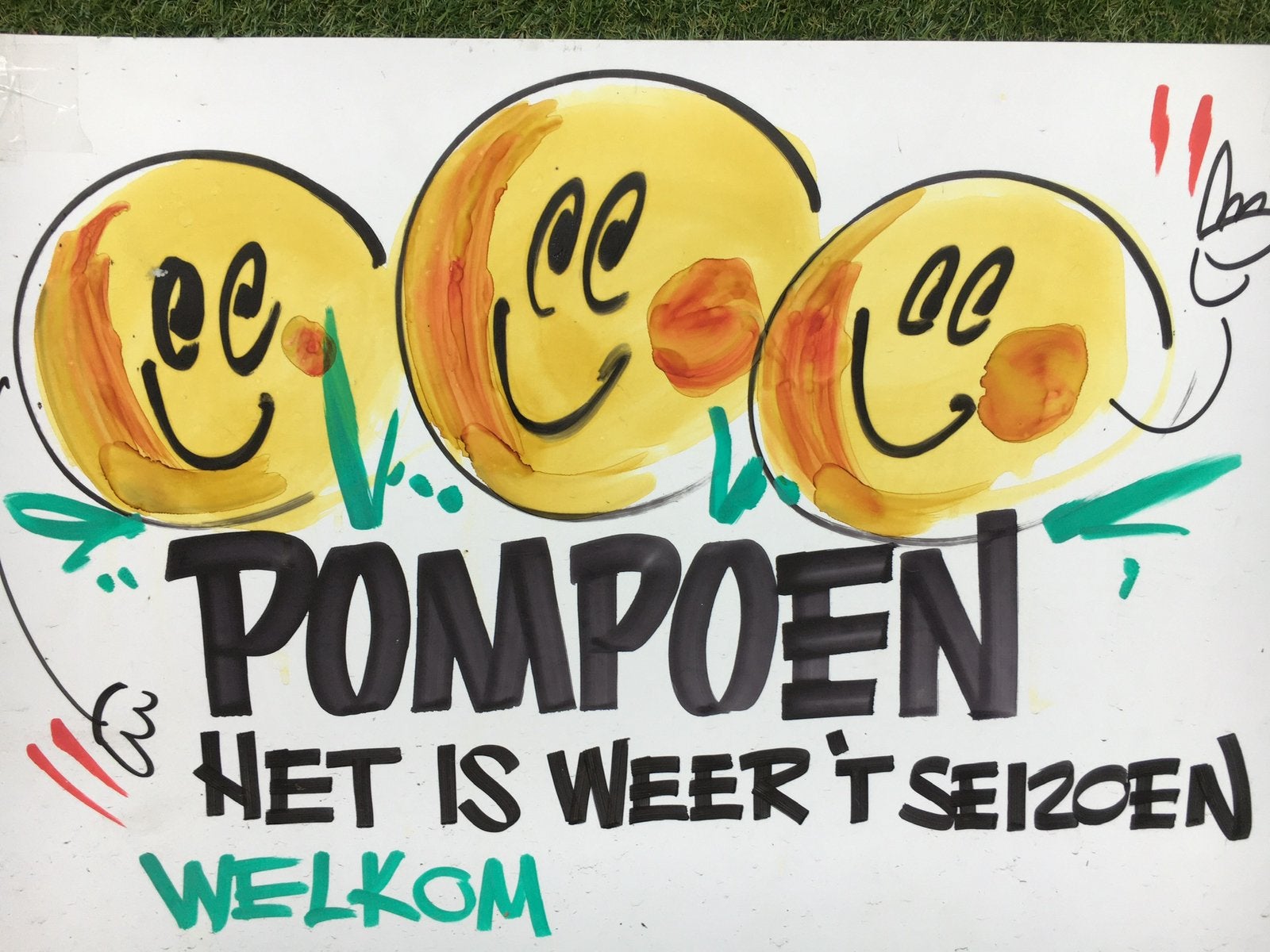 Pompoen Sierfruit Kalebas Eetbare Pompoenen Halloween, Ophalen