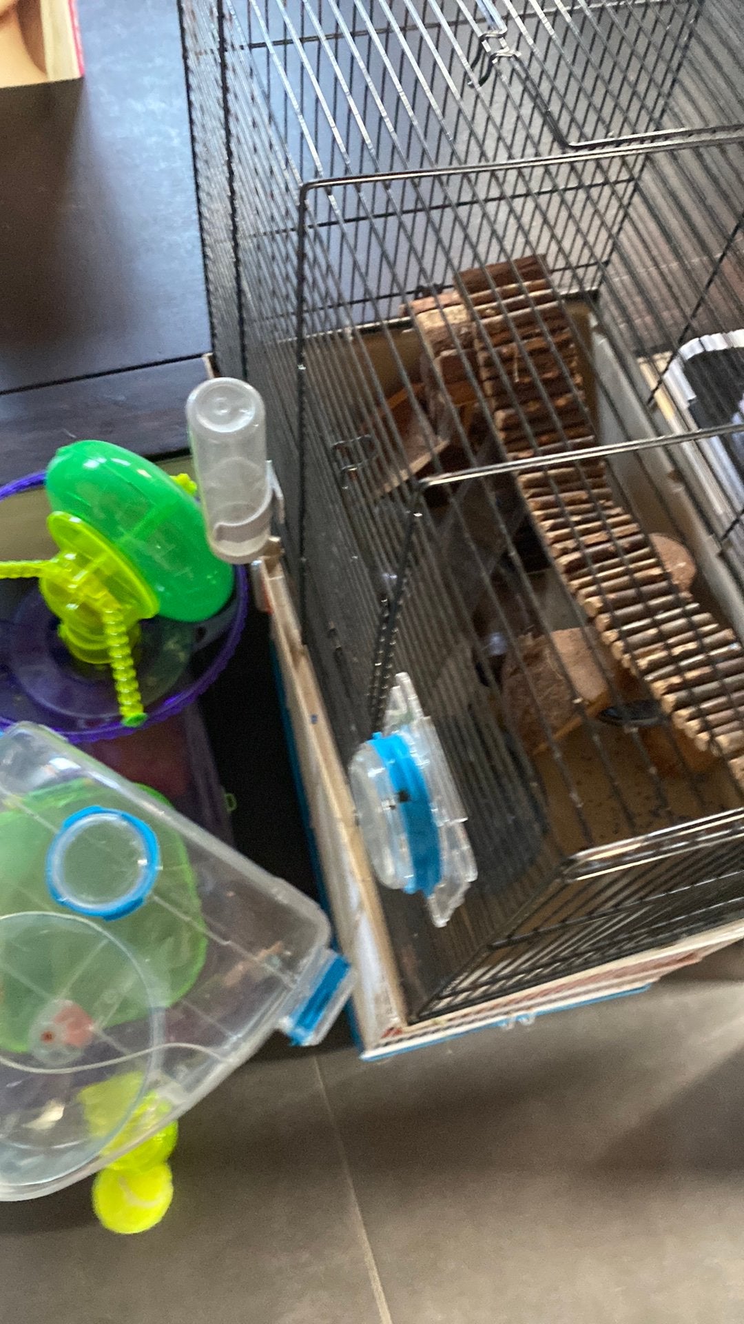 Hamster kooien, Dieren en Toebehoren, Ophalen, Zo goed als nieuw, Hamster