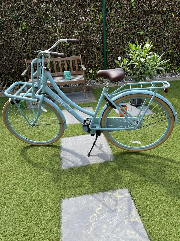 Volwassen damesfiets, Ophalen