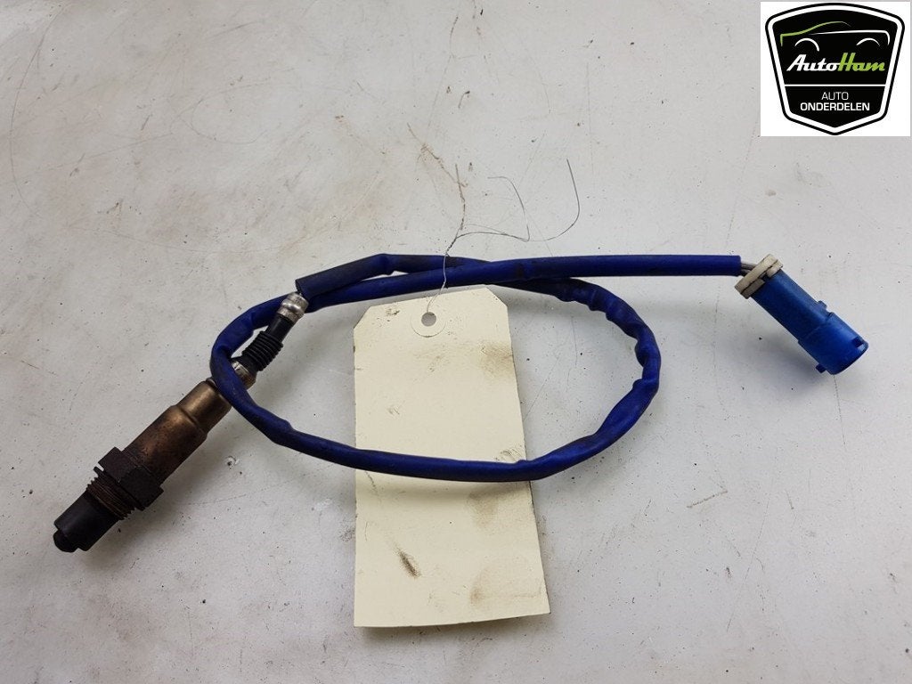 SONDE LAMBDA Ford C-Max (DXA) (|1785292|CV619G444CB|), Utilisé, Ford