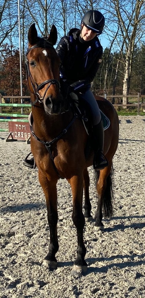 Zeer brave ruin Izaro van 't Daelderhof, Ruin, Dressuurpaard, Zadelmak, Ontwormd