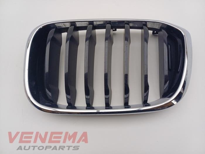 Grille van een BMW X3 (NVT), Gebruikt, -, -, Ophalen of Verzenden