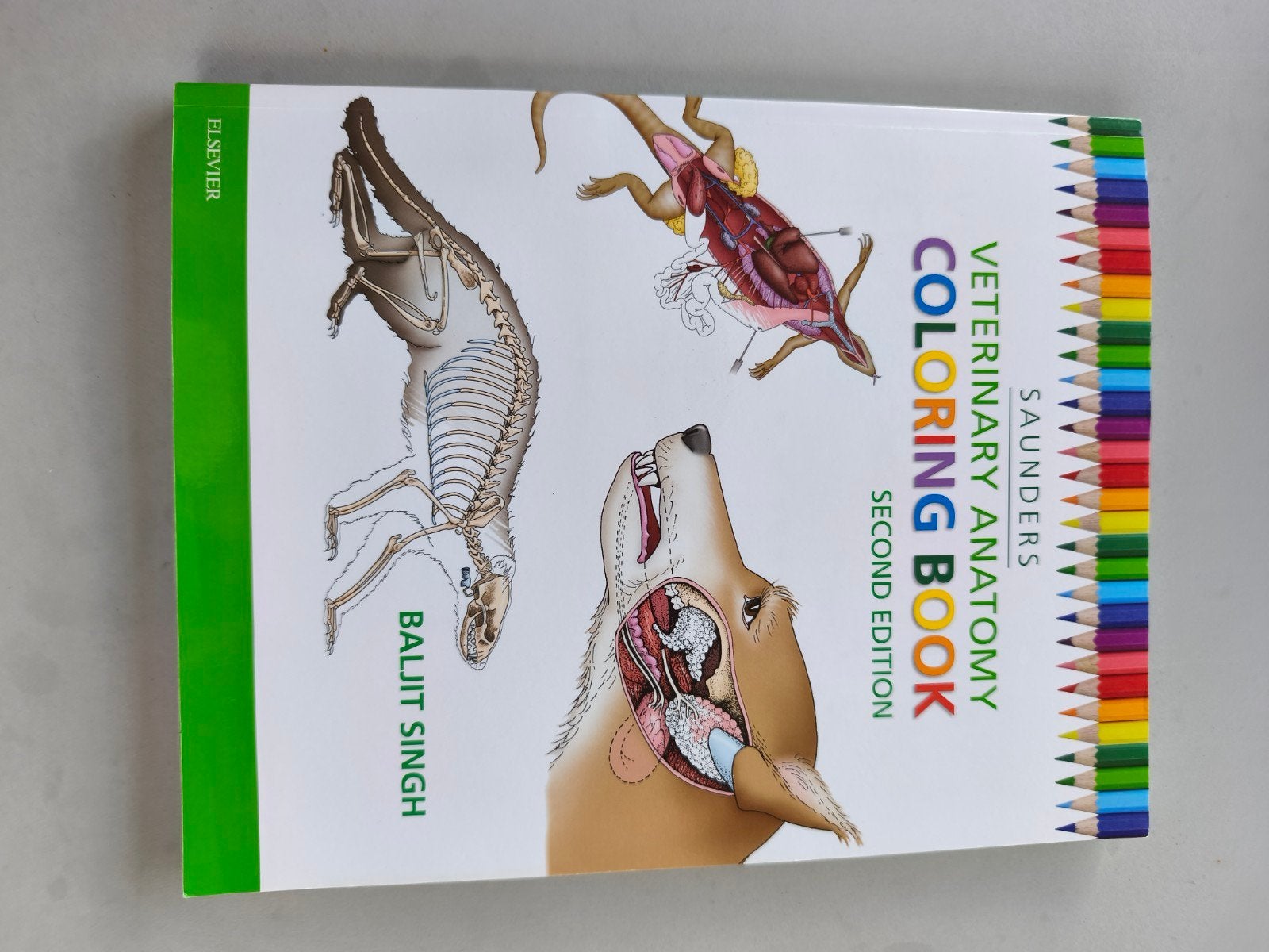Veterinary Anatomy Coloring Book Second Edition, Boeken, Gelezen, Overige vakken, Ophalen of Verzenden, Baljit Singh