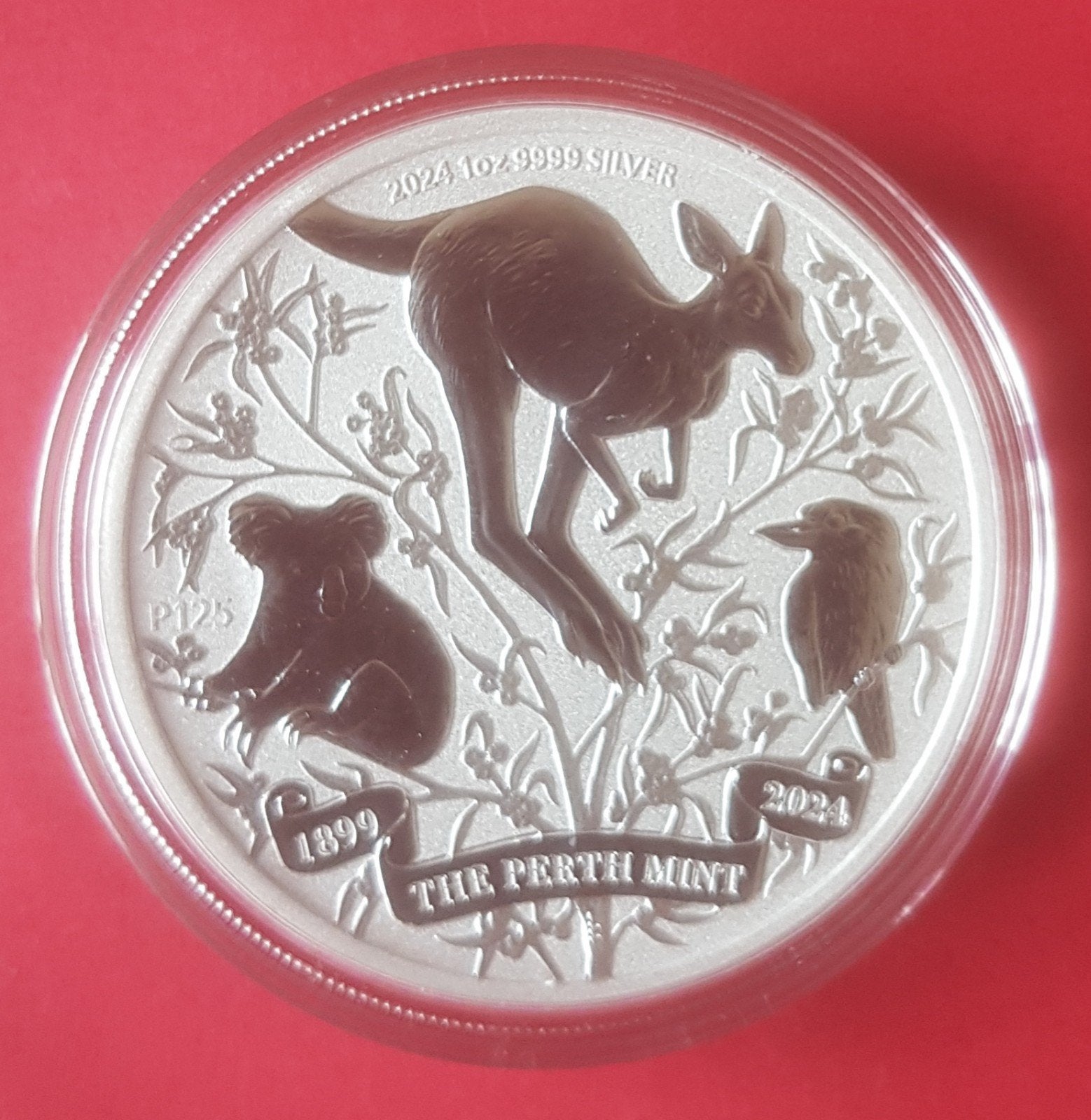 Australian Wildlife 2024, argent 1 oz, Enlèvement ou Envoi, Argent