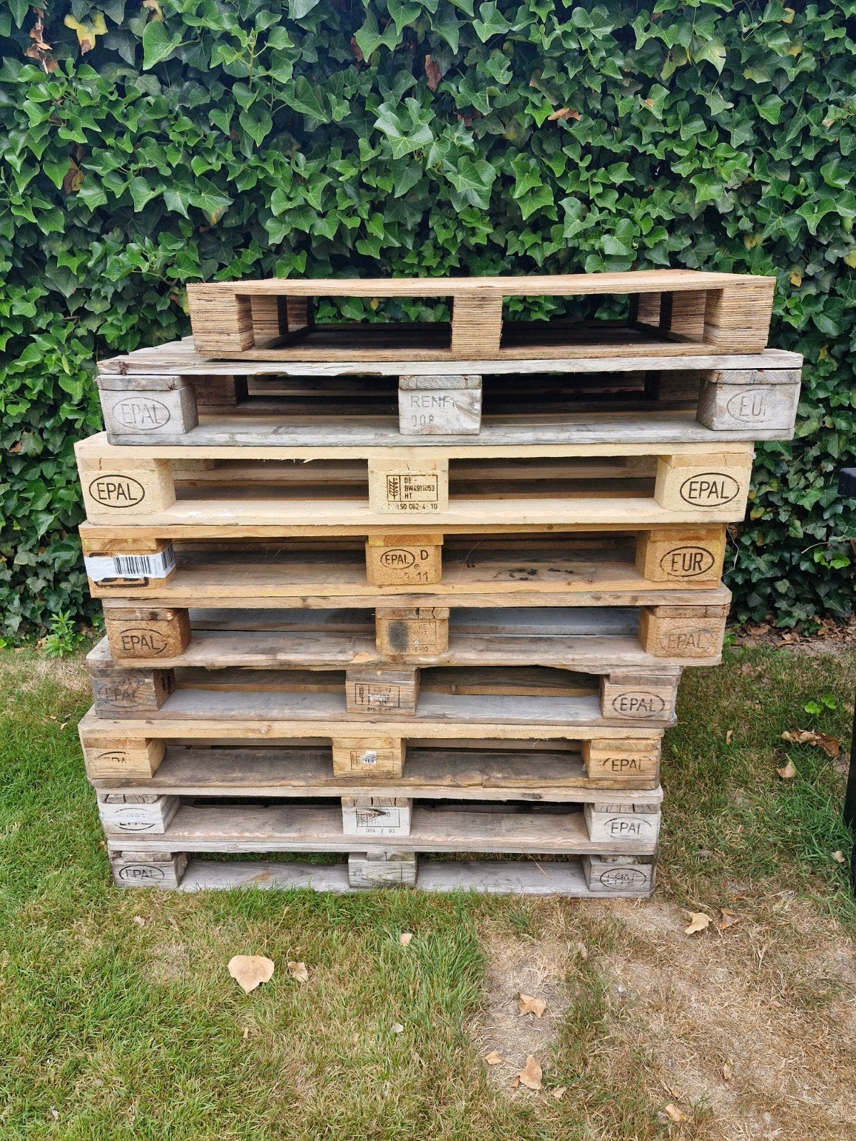 Euro-paletten., Ophalen, Gebruikt, Overige houtsoorten, Pallet