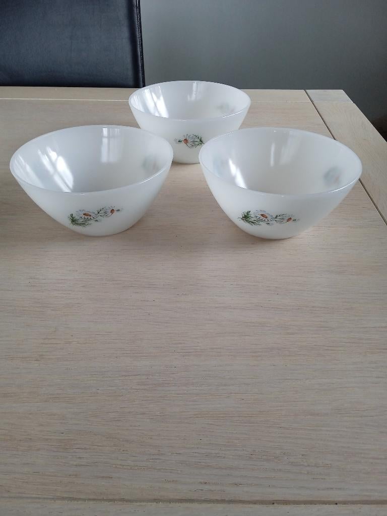 3 arcopal kommen, Ophalen of Verzenden, Zo goed als nieuw, Kom(men)