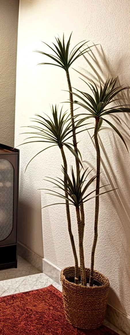 Mooie kunstplant in pot - Zo goed als nieuw, Huis en Inrichting, Ophalen, Overige soorten, In pot, 150 tot 200 cm