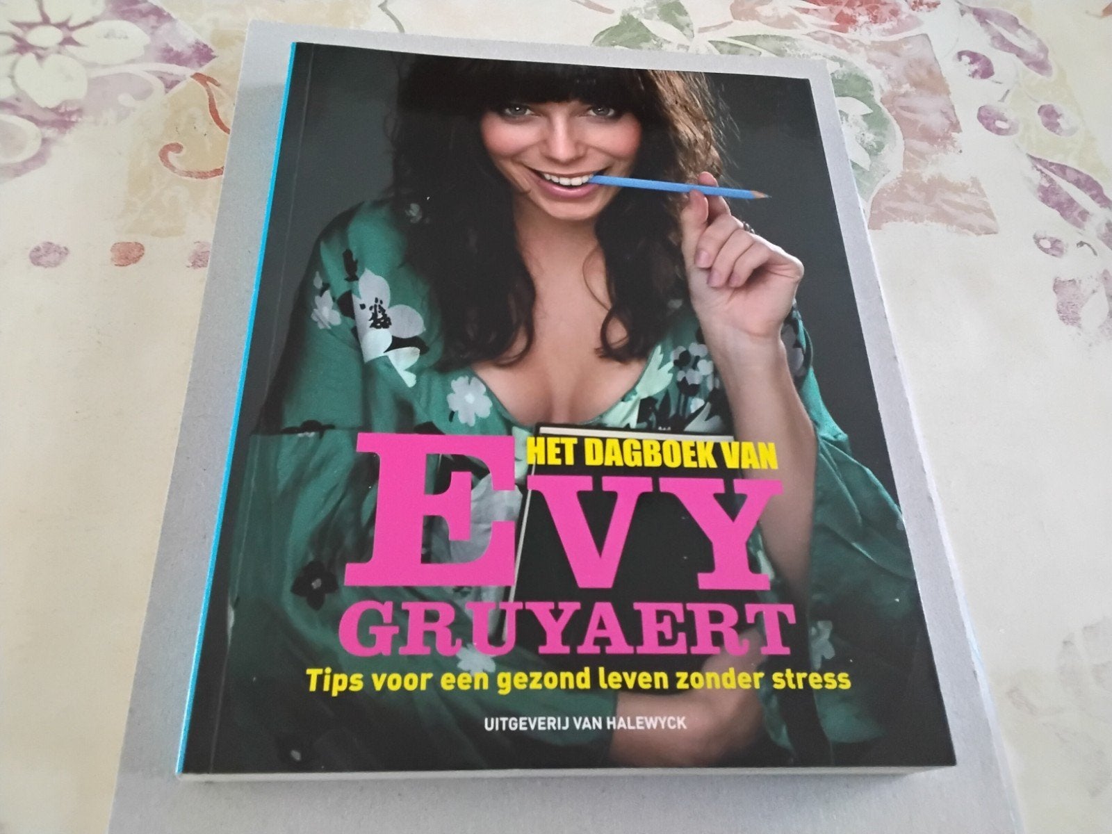 Boek ^Het Dagboek van Evy Gruyaert^, Boeken, Film, Tv en Media, Ophalen