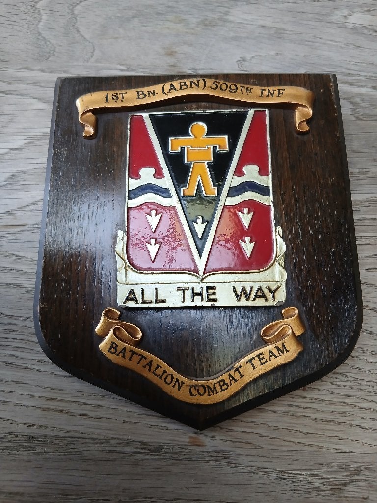 Crest 1 ABN 509th Inf PIR-veteraan, Verzamelen, Verzenden, Landmacht, Embleem of Badge